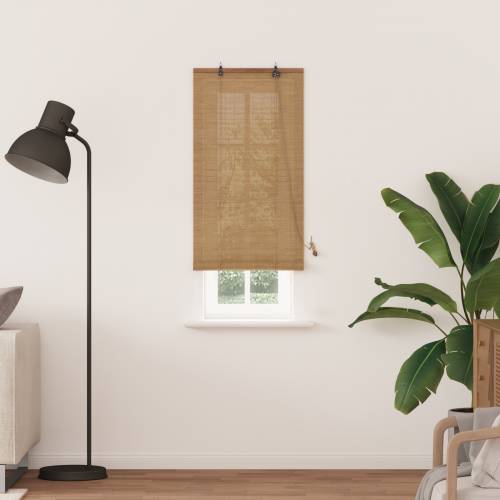Zavjese i sjenila sa zavjesama Svijetlosmeđa 60 x 220 cm bambus Cijena