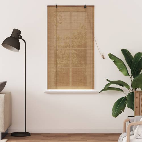 Zavjese i sjenila sa zavjesama Svijetlosmeđa 80 x 160 cm bambus Cijena