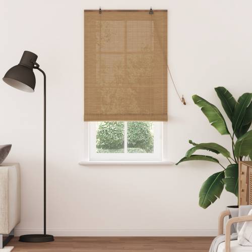 Zavjese i sjenila sa zavjesama Svijetlosmeđa 80 x 220 cm bambus Cijena