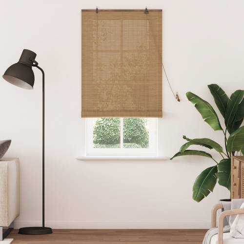 Zavjese i sjenila sa zavjesama Svijetlosmeđa 90 x 220 cm bambus Cijena