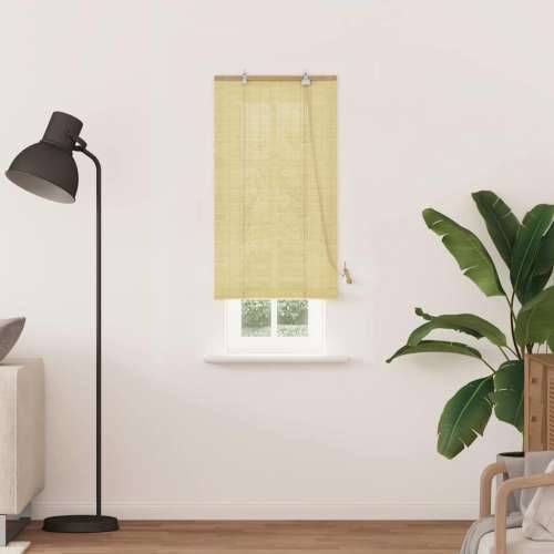 Zavjese i sjenila sa zavjesama Prirodna 60 x 220 cm bambus Cijena
