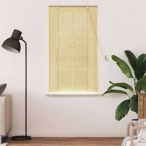 Zavjese i sjenila sa zavjesama Prirodna 80 x 160 cm bambus Cijena