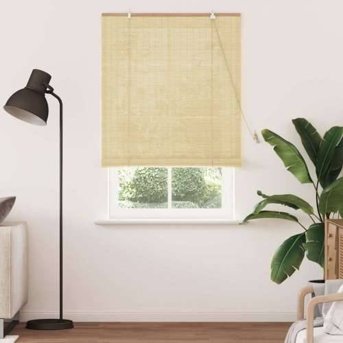 Zavjese i sjenila sa zavjesama Prirodna 100 x 220 cm bambus Cijena