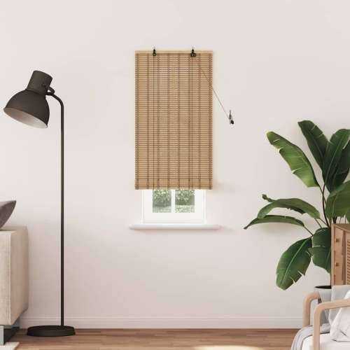 Zastore i sjenila sa zavjesama Svijetlosmeđa 80 x 220 cm Bambus Cijena