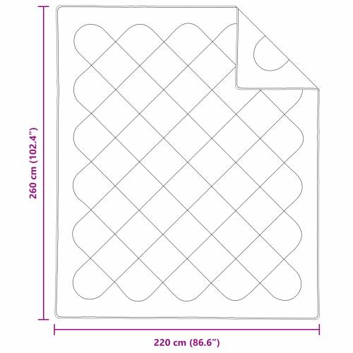 Duvet za sve sezone 3 pcs Bijela 260 x 220 cm Mikrofibra Cijena