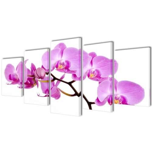 Zidne Slike na Platnu Set s Printom Orhideja 100 x 50 cm - 100 x 50 cm 1 Orhideja Cijena