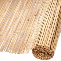 Bambus ograde