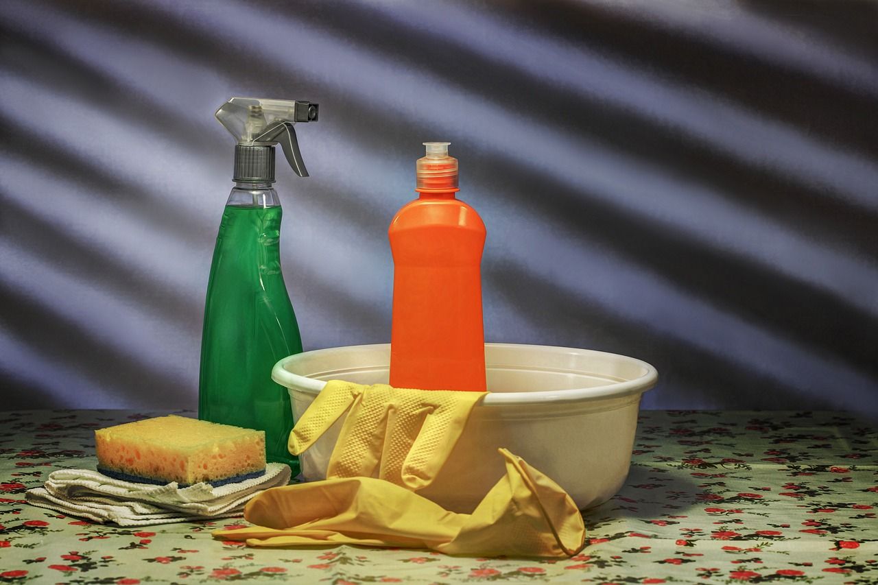 Čuvajte zdravlje vaše obitelji: Kako eliminirati toksine iz vašeg doma