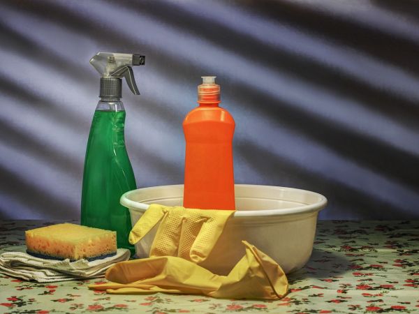 Čuvajte zdravlje vaše obitelji: Kako eliminirati toksine iz vašeg doma