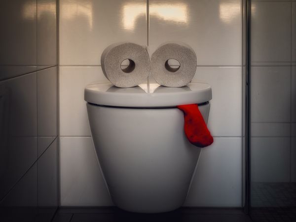 Odmak od klasičnog - daska za WC školjku ne mora biti dosadna i neupečatljiva