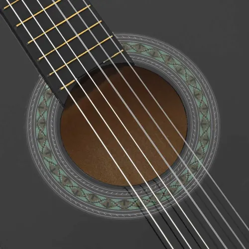 12-dijelni set klasične gitare za početnike crni 4/4 39 - Crna 4/4 39 Cijena