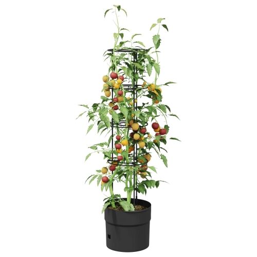 Uzgajivač rajčice Crna Ø 32 x 127 cm PP Cijena