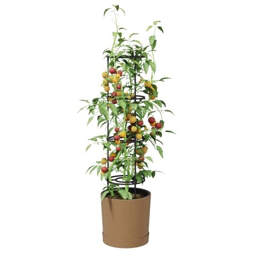 Uzgajivač rajčica Naturo ECO Ø 39 x 139 cm WPC Cijena