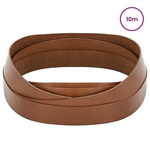 Kožni Remen 1 Smeđa 1000 x 4 cm Koža - Smeđa 10 m 40 mm Cijena