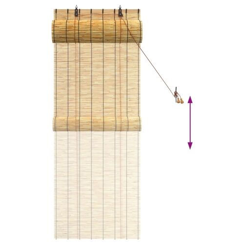 Rolo zavjesa Prirodna 60 x 160 cm Trska - Prirodna 60 x 160 cm Cijena