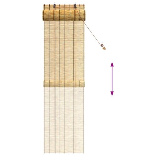 Rolo zavjesa Prirodna 60 x 220 cm Trska - Prirodna 60 x 220 cm Cijena