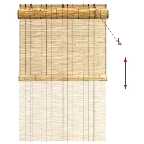 Rolo zavjesa Prirodna 140 x 220 cm Trska - Prirodna 140 x 220 cm Cijena