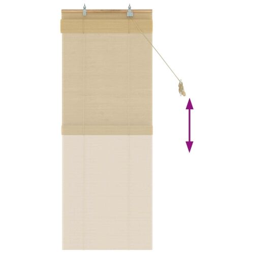 Rolo zavjesa Prirodna 40 x 160 cm Bambus - 40 x 160 cm Cijena