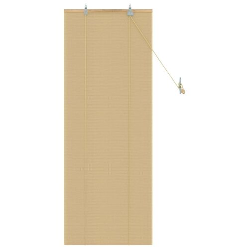 Rolo zavjesa Prirodna 40 x 160 cm Bambus - 40 x 160 cm Cijena