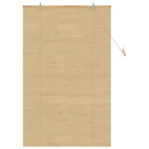 Rolo zavjesa Prirodna 100 x 160 cm Bambus - 100 x 160 cm Cijena
