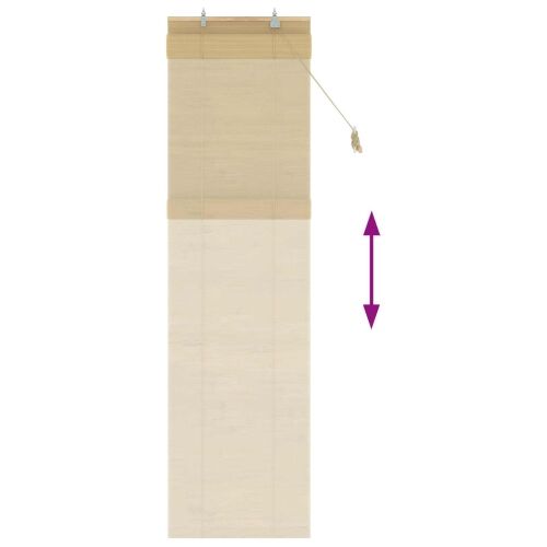 Rolo zavjesa Prirodna 40 x 220 cm Bambus - 40 x 220 cm Cijena
