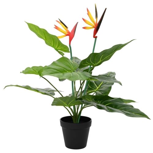 Umjetna Strelitzia Biljka Zelena 65 x 13 x 55 cm Cijena
