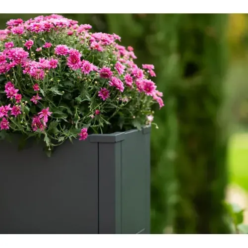 Westmann Talus L | Metalna pravokutna žardinjera | 130 L | Antracit - BRANDED IN GERMANY Cijena