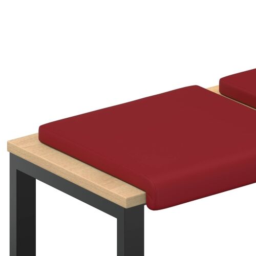 Jastučić za klupu 4 kom. Umjetna koža Vinska crvena - boja crnog vina 4 Cijena