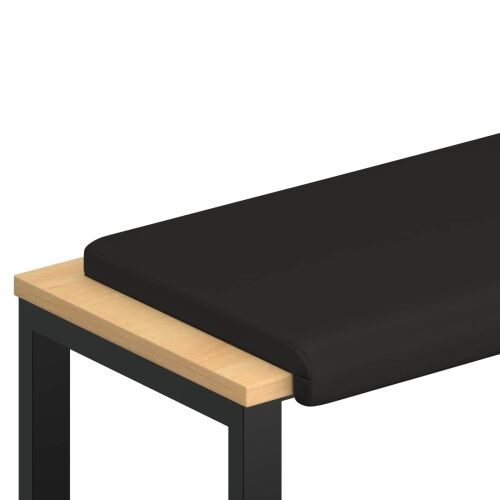 Jastučić za klupu Umjetna koža Crna Dubina 35 cm - Crna 80 x 38 x 6,5 cm Cijena