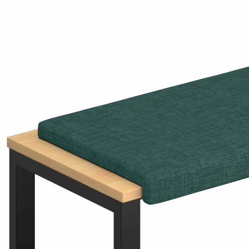 Jastučić za klupu Tkanina Tamnozelena Dubina 35 cm - Tamnozelena 110 x 38 x 6,5 cm Cijena