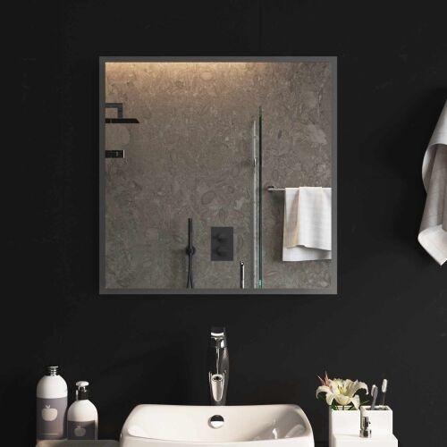 LED kupaonsko ogledalo s ogledalom *Transparent*an 60 x 60 cm - 60 x 60 cm Cijena