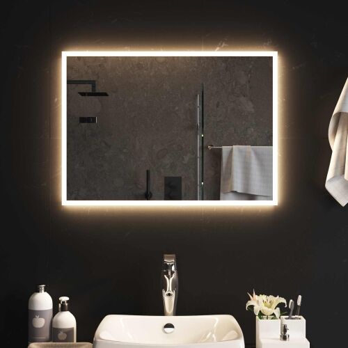 LED kupaonsko ogledalo s ogledalom *Transparent*an 70 x 50 cm - 70 x 50 cm Cijena