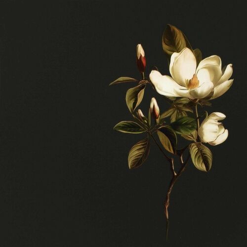 Noćni ormar BREMEN Crni hrast 36 x 33 x 51 cm Konstruirano drvo - Magnolijski uzorak 1 Cijena