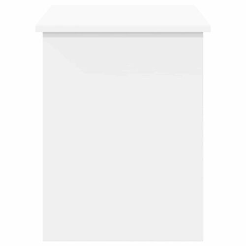Skladišni kovčeg Bijela 100 x 40 x 50 cm Konstruirano drvo - Bijela 100 cm Cijena
