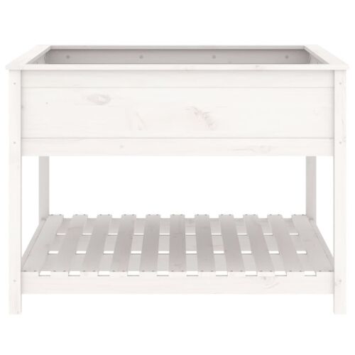 Sadilica s policom bijela 111,5x111,5x81 cm od masivne borovine - Bijela 111.5 x 111.5 x 81 cm Cijena