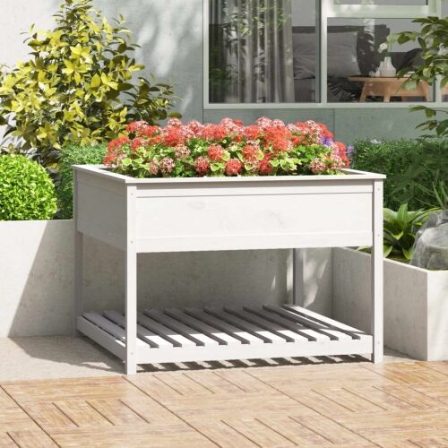 Sadilica s policom bijela 111,5x111,5x81 cm od masivne borovine - Bijela 111.5 x 111.5 x 81 cm Cijena