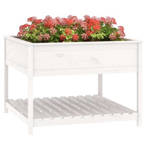 Sadilica s policom bijela 111,5x111,5x81 cm od masivne borovine - Bijela 111.5 x 111.5 x 81 cm Cijena