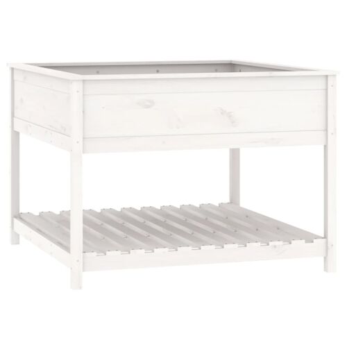Sadilica s policom bijela 111,5x111,5x81 cm od masivne borovine - Bijela 111.5 x 111.5 x 81 cm Cijena