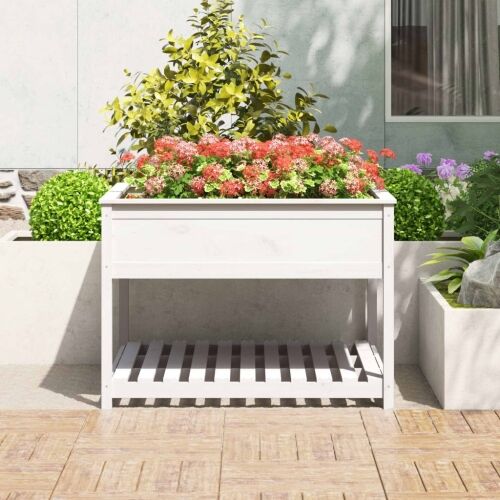 Sadilica s policom bijela 111,5x111,5x81 cm od masivne borovine - Bijela 111.5 x 111.5 x 81 cm Cijena