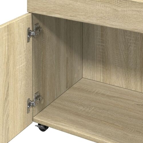 Barska kolica boja hrasta sonome 50x41x89 cm konstruirano drvo - Sonoma hrast Cijena