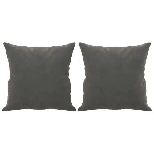 Ukrasni jastuci 2 kom tamnosivi 40 x 40 cm baršunasti - OUTLET - NEPREUZETO Cijena