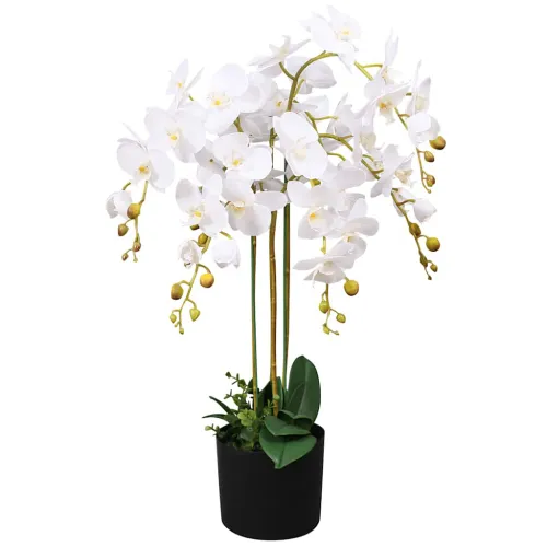 Umjetna orhideja s posudom 75 cm bijela - Bijela 75 cm Cijena