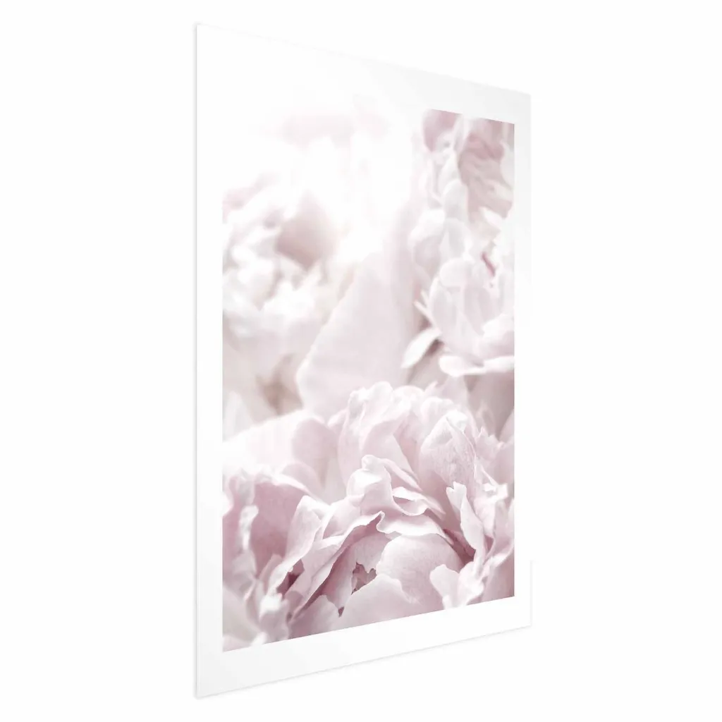 Plakat - Fluffy Peonies 21x30 Bez okvira s margom