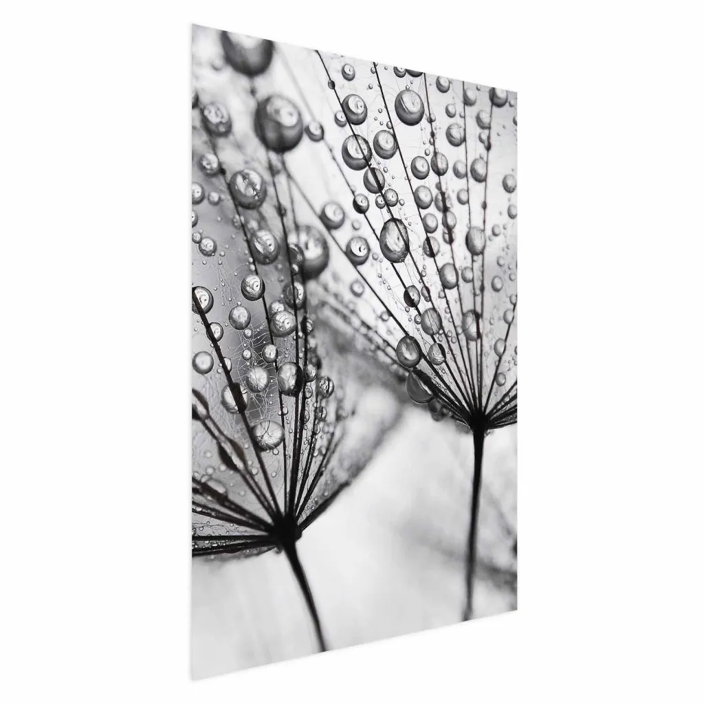 Plakat - Macro Dew 21x30 Bez okvira