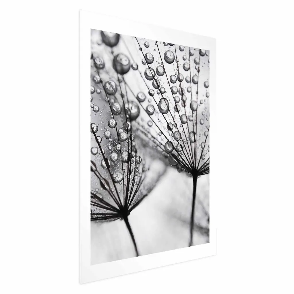 Plakat - Macro Dew 21x30 Bez okvira s margom