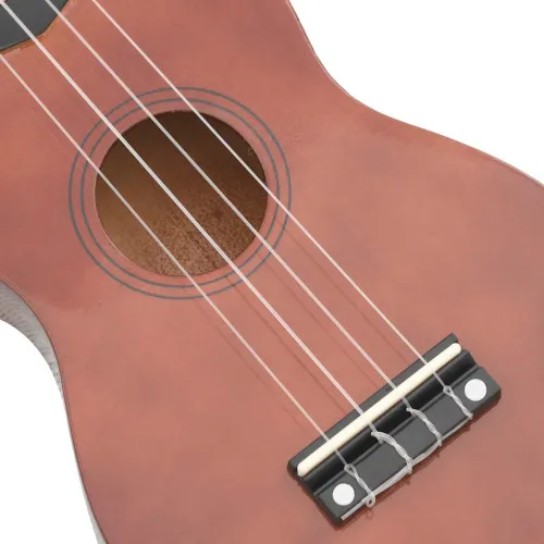 Set ukulelea Soprano s futrolom za djecu Natural 21 - Tamno smeđa 21 Cijena