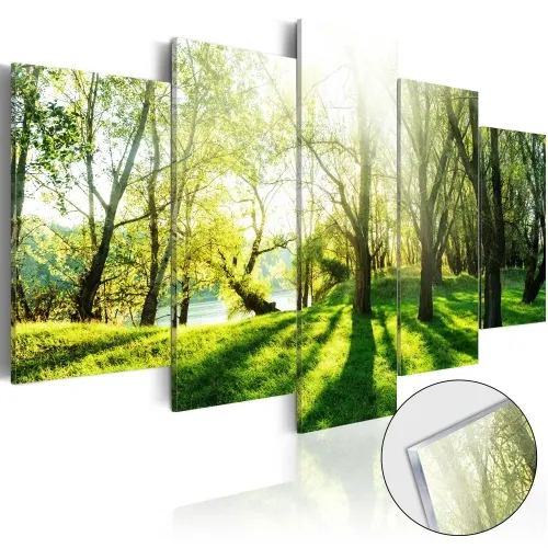 Slika na akrilnom staklu - Green Glade 100x50 Cijena