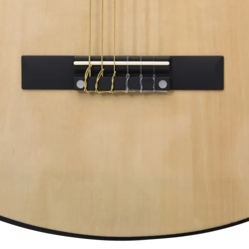 Klasična gitara za početnike s torbom 4/4 39 - Svjetlosmeđa 4/4 39 Cijena
