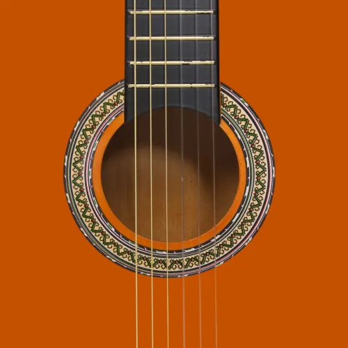 Klasična gitara za početnike s torbom 4/4 39 - Tamno smeđa 4/4 39 Cijena