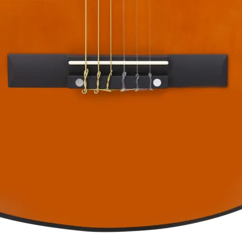 Klasična gitara za početnike s torbom 4/4 39 - Tamno smeđa 4/4 39 Cijena